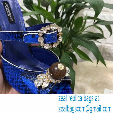 Dolce  &  Gabbana Crystal Heel 10.5cm Python Mules Blue 2021